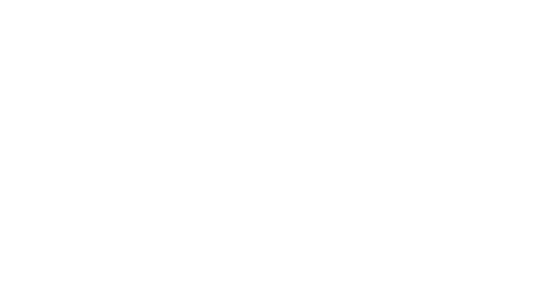 Cópia de sebrae-branco